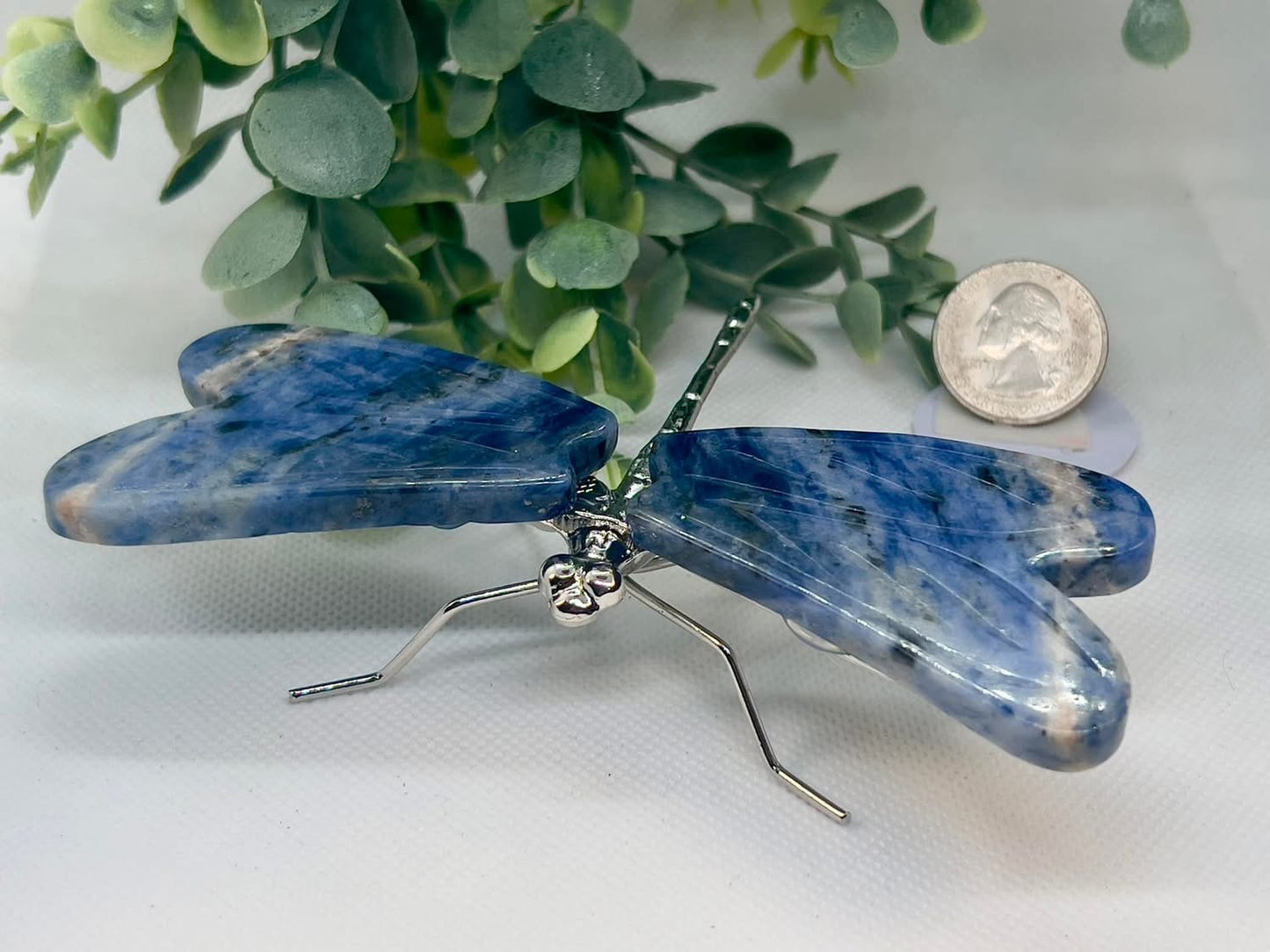 Dragonfly Bundle