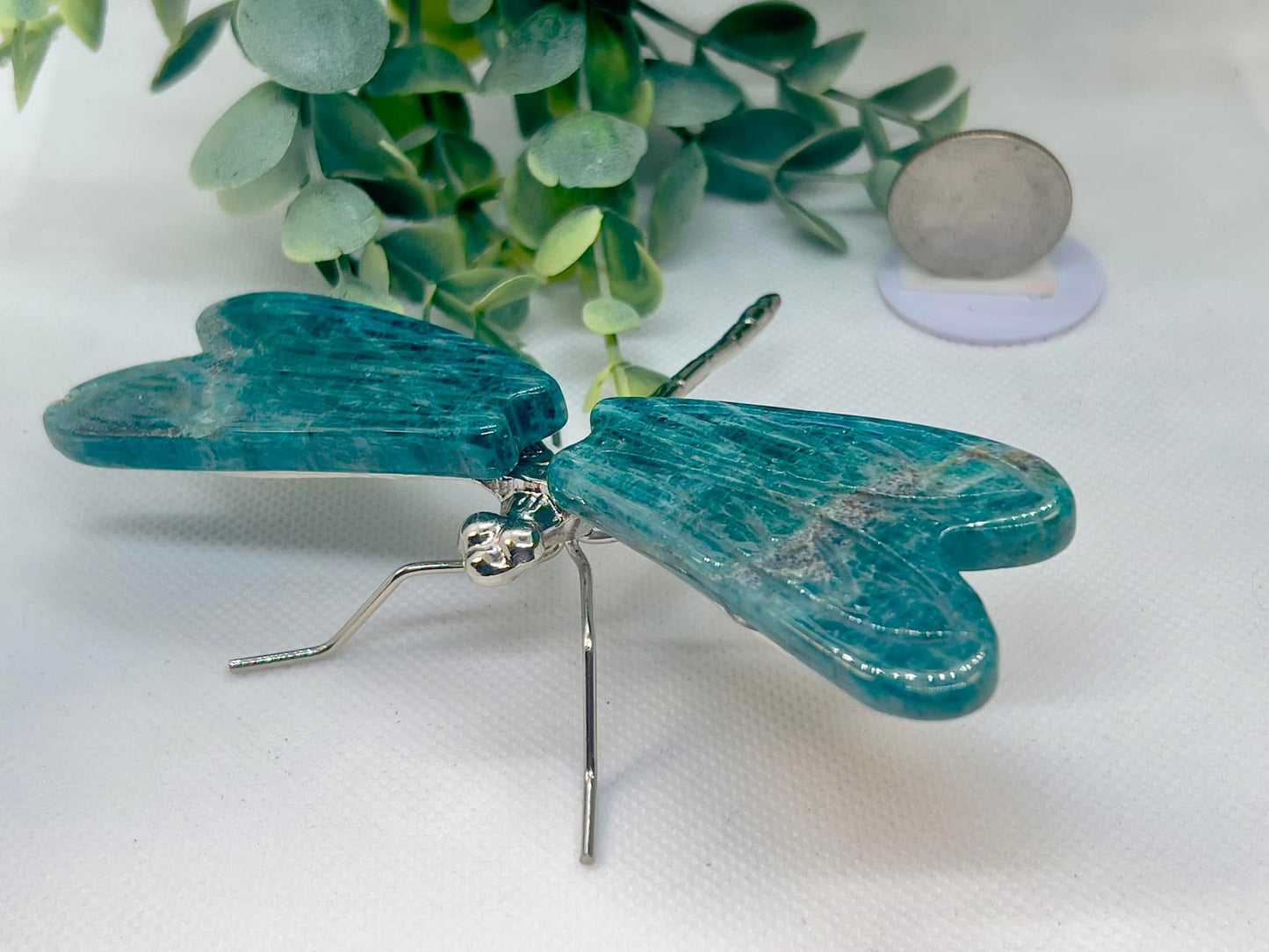 Dragonfly Bundle