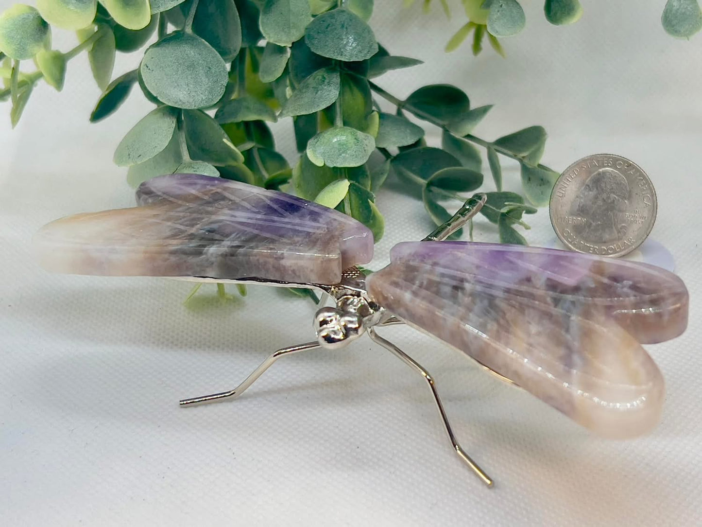 Dragonfly Bundle