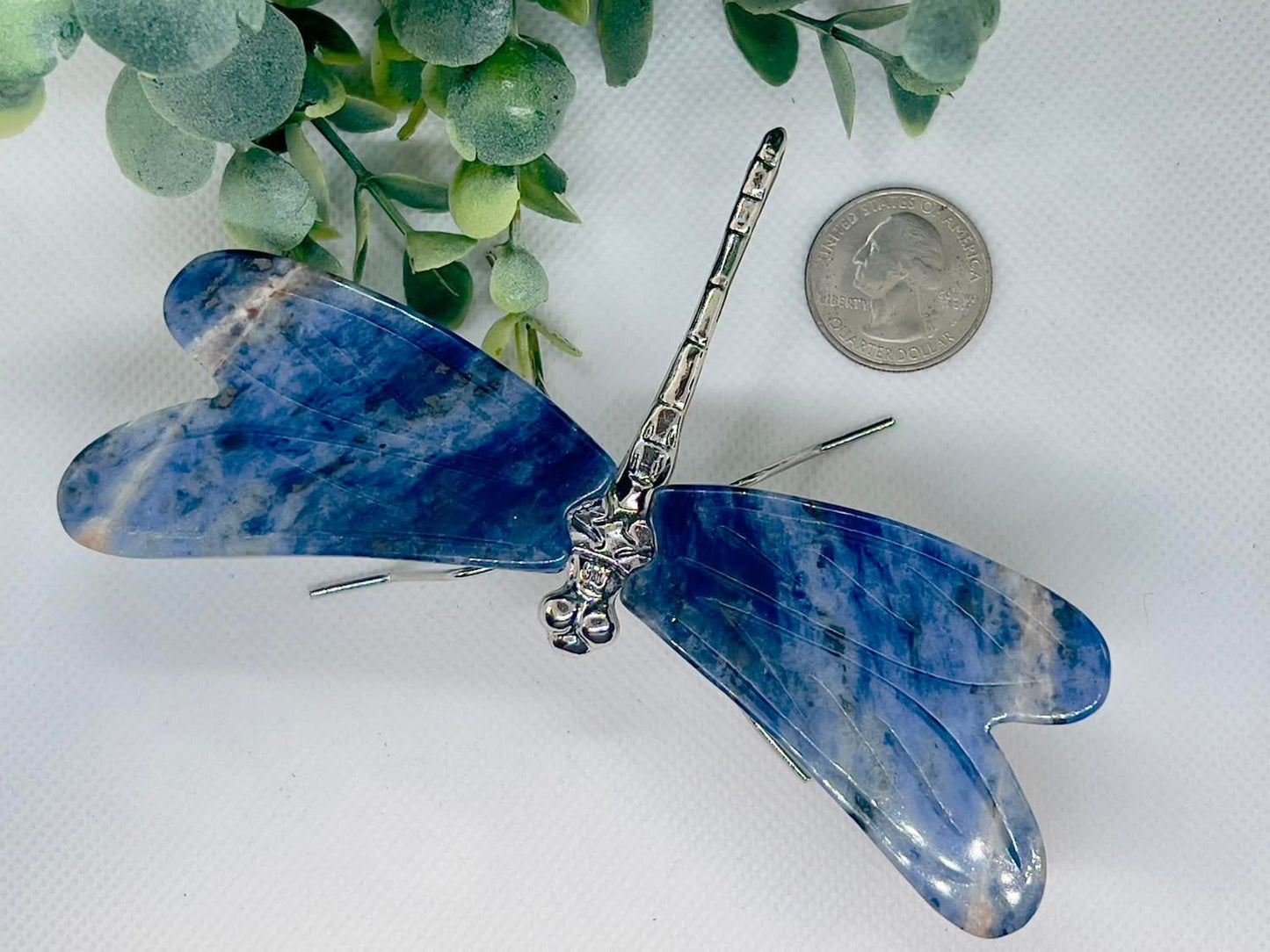 Sodalite Dragonfly